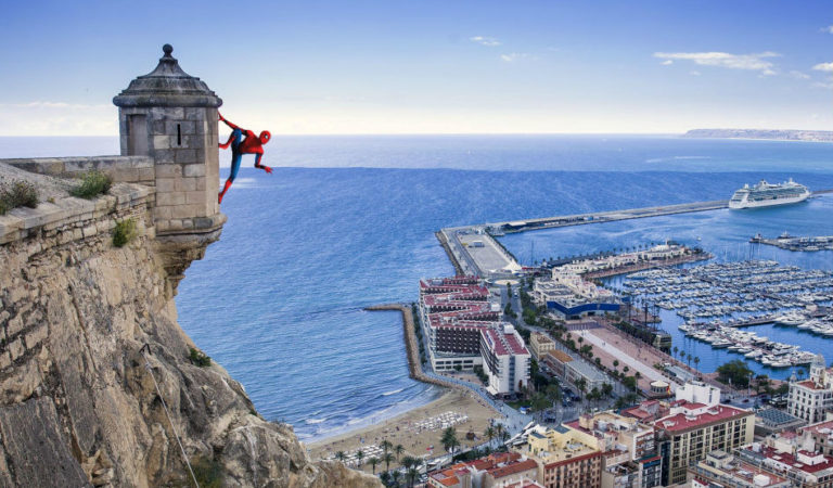 Detectado un primer caso de picadura de araña violinista en Alicante capital Detectado un primer caso de picadura de araña violinista en Alicante capital
